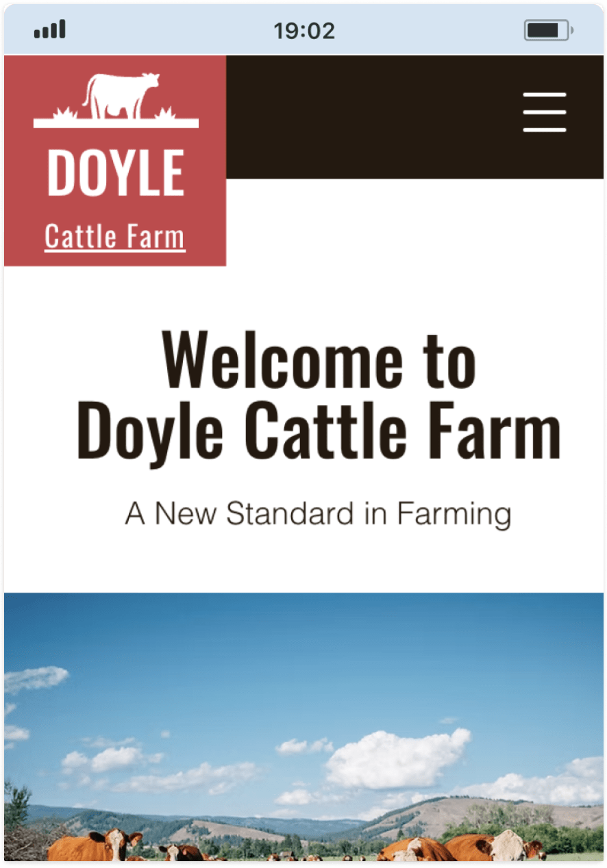 Example 2 of most popular website design in desktop and mobile.